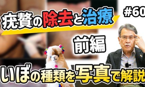 山楂炖肉的功效与作用-山楂肉的药用价值网 - 山楂肉片的做法窍门,山楂肉的药用价值和功效